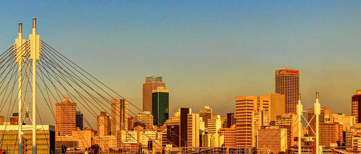 Mandela bridge and skyline