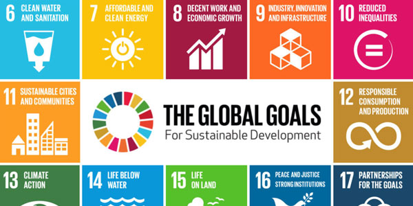 Sustainable Development Goals ? Curiosity