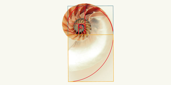 The Golden Ratio, also known as the Divine Proportion. | www.wits.ac.za/curiosity/ 