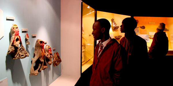 Learners visiting Kitching Gallery