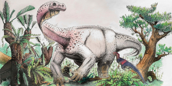The Highland Giant: Artist Viktor Radermachers reconstuction of what Ledumahadi mafube may have looked like. Another South African dinosaur, Heterodontosaurus tucki, watches in the foreground. ɳ_2024ŷޱapp@ Viktor Radermacher