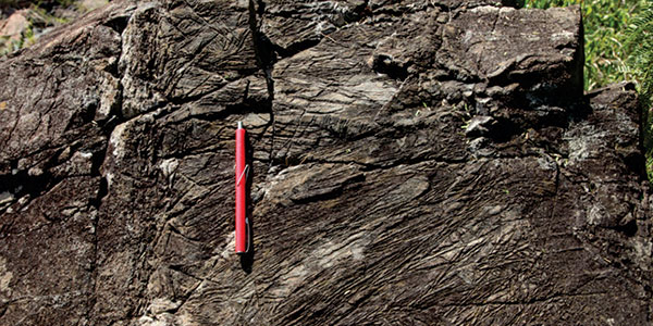 Unique texture of komatiite lava flows from the Barberton greenstone belt. The highly elongate crystals of olivine formed at an eruption temperature of over 1600C C over 300 degrees hotter than current day lavas on Hawaii.
