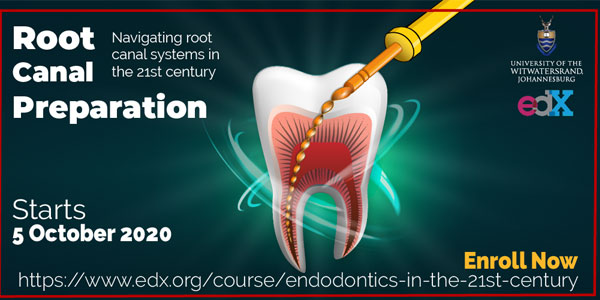 Root Canal Preparation WitsX course