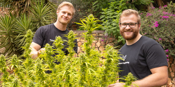 Anlo van Wyk and Constant Beckerling are developing new tech aimed at disrupting the booming cannabis