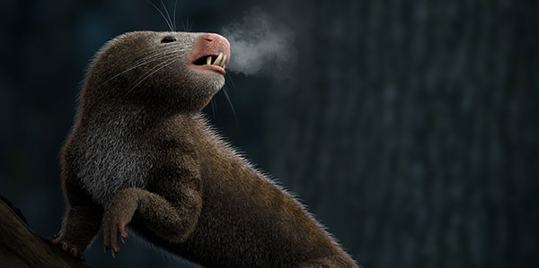 A warm-blooded mammal ancestor breathing out hot hair in a frigid night. ? Luzia Soares
