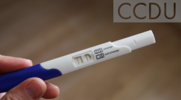 Image showing pregnancy testing kit
